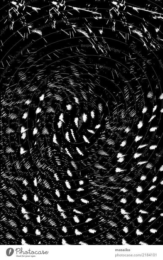 schwarzes Muster - Abstraktes Design Mode Ornament außergewöhnlich trendy Originalität rebellisch retro trashig weiß ästhetisch bizarr elegant geheimnisvoll