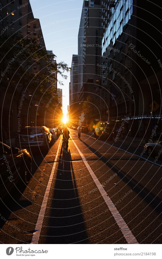 abends Sonnenaufgang Sonnenuntergang Sonnenlicht Stadt Hochhaus Lebensfreude Hoffnung Manhattan New York City Farbfoto Textfreiraum oben Textfreiraum unten
