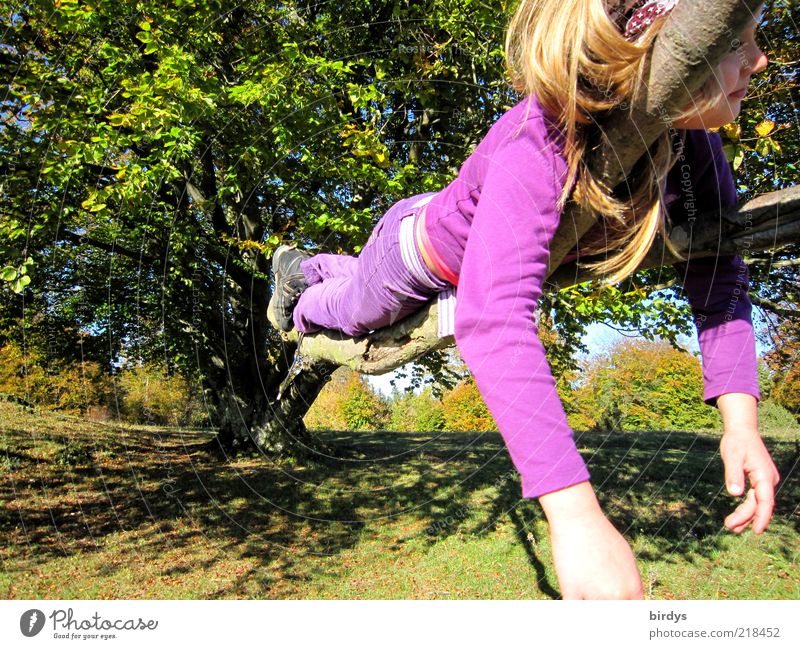 Ein Mädchen macht es sich auf einem ausladenden Ast eines Baumes bequem träumen liegen klettern Glück Spielen 3-8 Jahre Kind Kindheit Natur Schönes Wetter Park