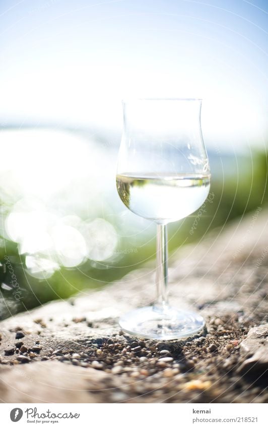 Ein Glas Riesling Lebensmittel Rheingau Getränk trinken Alkohol Wein Weißwein Weissweinglas Sonnenlicht Sommer Schönes Wetter Stein elegant hell lecker