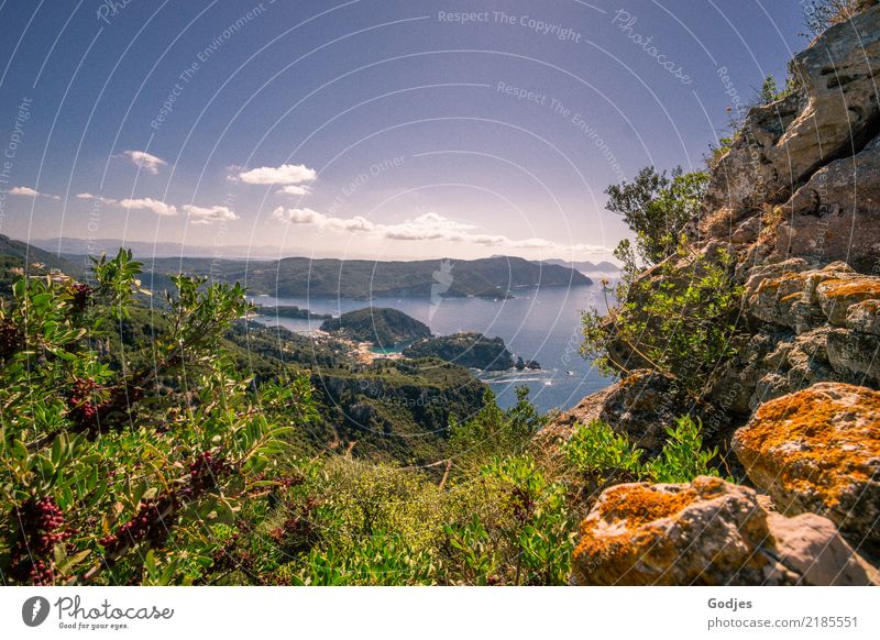Blick von Angelokastro I Landschaft Pflanze Wasser Himmel Wolken Horizont Sommer Schönes Wetter Baum Sträucher Wildpflanze Küste Korfu Sehenswürdigkeit
