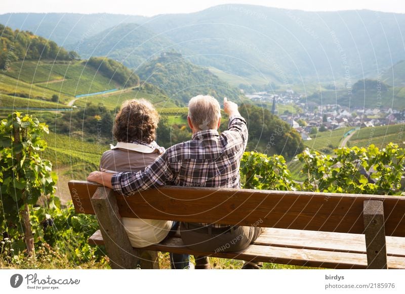 2 verliebte Senioren sitzen auf einer Bank im Weinberg und schauen ins Ahrtal. Der Mann zeigt auf etwas. Leben Ausflug Sommer Berge u. Gebirge wandern maskulin