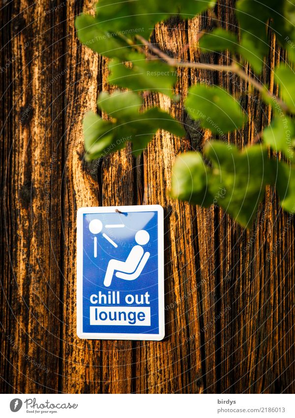 Chillplatz Gesundheit Erholung ruhig Party Lounge Pflanze Holzwand Zeichen Schriftzeichen Schilder & Markierungen Hinweisschild Warnschild genießen
