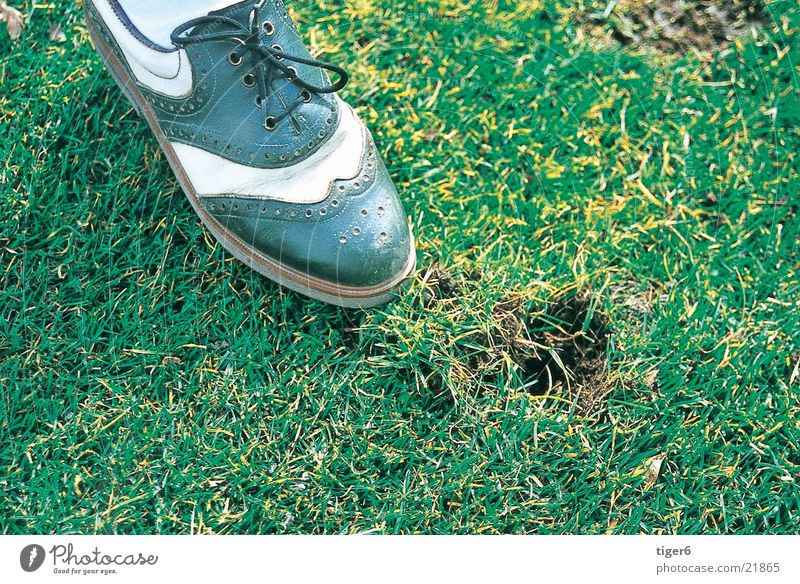 Schuh im Gras Schuhe Sport Golf Divot