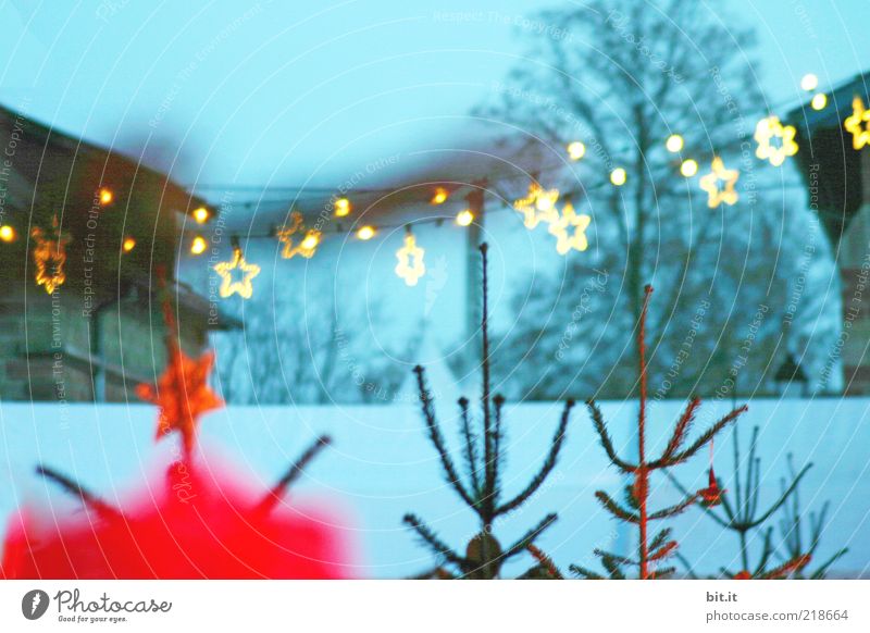 Wildschweindöner und 'ne Tasse Glühwein in der Hand Winter Schnee Natur Nebel Baum Tradition Weihnachten & Advent Weihnachtsdekoration Weihnachtsstern