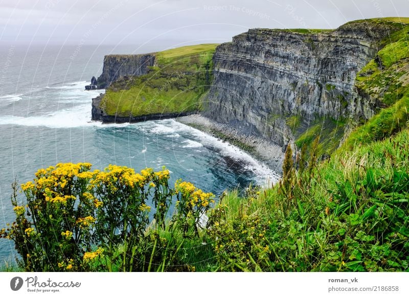 Keinen Schritt weiter! Umwelt Natur Landschaft Pflanze Urelemente Erde Sommer Felsen Schlucht Küste Meer alt ästhetisch bedrohlich Nordirland Klippe steil