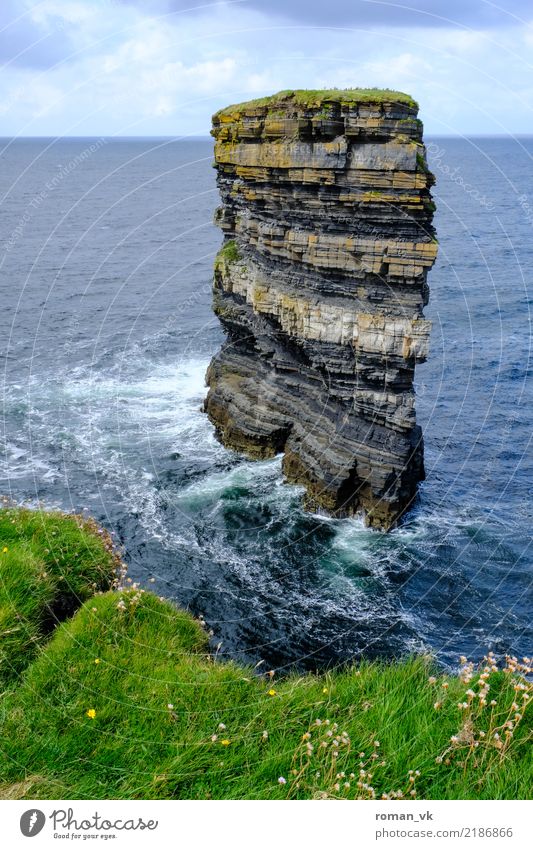 St. Patricks Head Natur Landschaft Tier Urelemente Wasser Horizont Sommer Gras Felsen Wellen Küste Meer achtsam Respekt Stolz Monolith Wind Nordirland Erfurcht