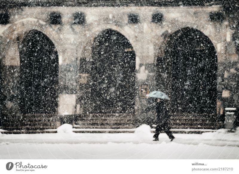 Wildes Treiben vor dem Rathaus Flockenwirbel Schneetreiben schneien Mensch Winter Schneefall Regenschirm Chemnitz Gebäude Treppe Torbogen kalt Mann