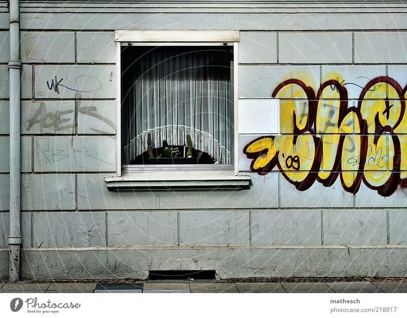 Großstadtidylle Kunst Jugendkultur Subkultur Kaktus Stadt Menschenleer Haus Gebäude Mauer Wand Fassade Fenster Stein Glas Graffiti gelb grau Gardine trist