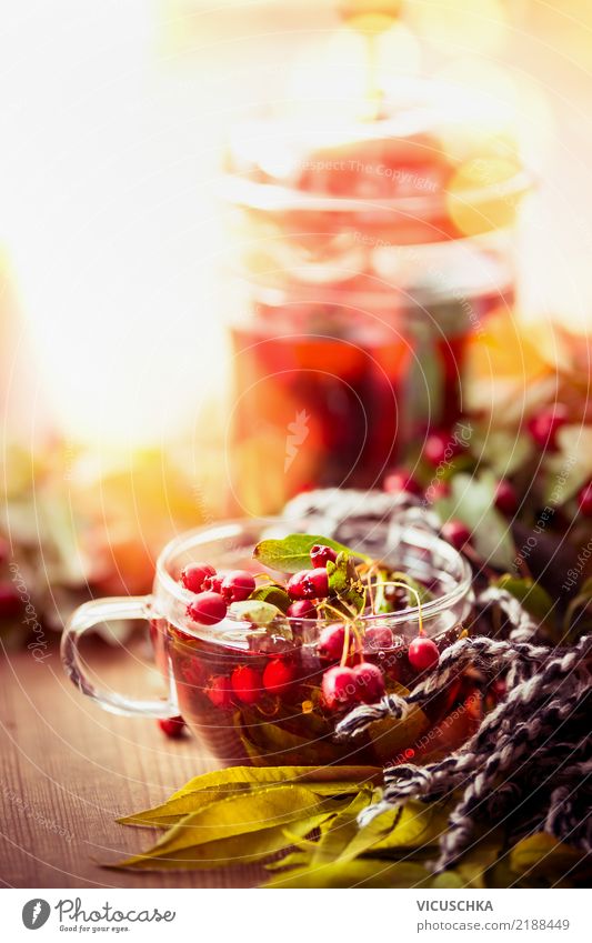 Herbsttag mit Tasse Tee Getränk Heißgetränk Stil Design Gesunde Ernährung Leben Häusliches Leben Natur Blatt Garten Gefühle Hintergrundbild Erkältung Schal