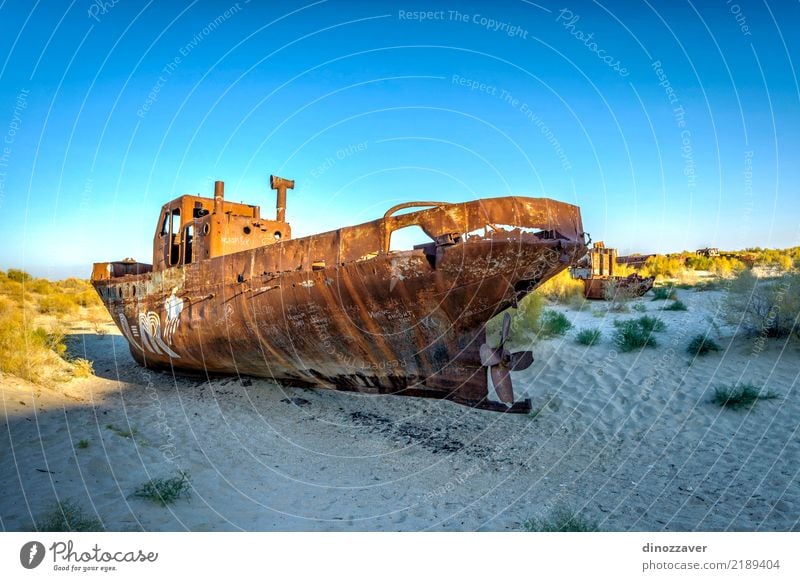 Schifffriedhof, Aralsee, Usbekistan Meer Umwelt Natur Landschaft Sand Klima Klimawandel See Ruine Wasserfahrzeug Totes Tier Tod Desaster wüst Muynak Asien Rust