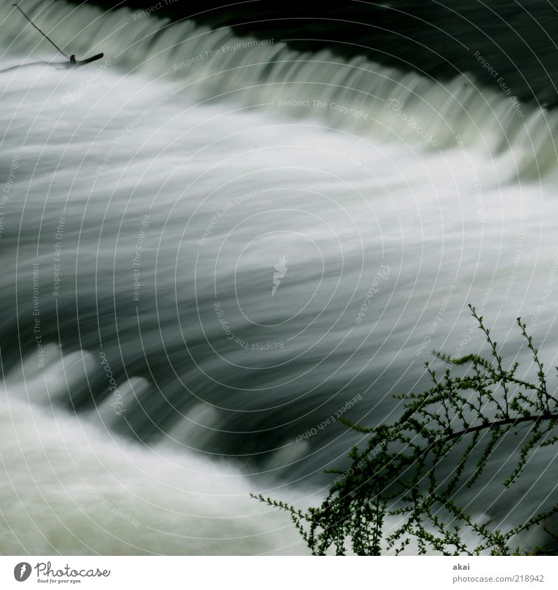 3sam Wasser Bach Fluss Wasserfall grau Gefühle Stimmung Umwelt Farbfoto Außenaufnahme Langzeitbelichtung Bewegungsunschärfe Dreisam Gebirgsfluß Strömung reißend
