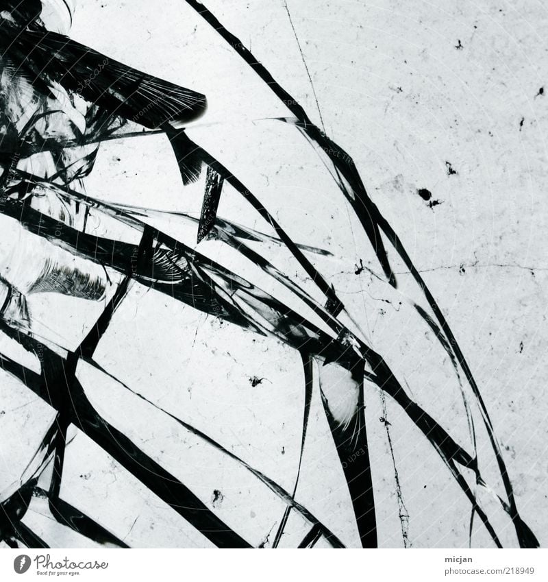 Distortion | Crystal Butterfly Glas rebellisch Gewalt splittern brechen zerbrechlich Riss einschlagen Zerstörung zerstören Zerbrochenes Fenster Linie