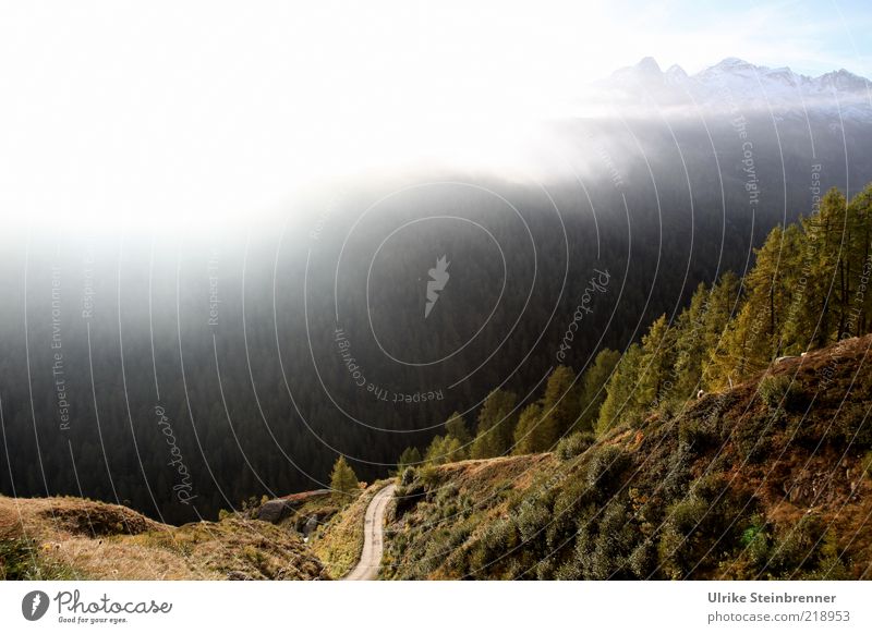 Blick vom Timmelsjoch nach Südtirol ins Passeiertal bei Frühnebel Nebel Hochnebel Berge u. Gebirge Alpen Berghang Tal Italien Dunst Sonnenlicht Morgen Wald