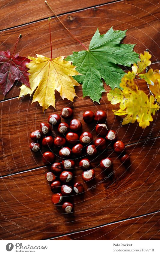 #AS# Herbsttisch Kunst Kunstwerk ästhetisch Kastanienbaum Kastanienblatt herbstlich Herbstlaub Herbstfärbung Herbstwald Herbstwind Tisch Blatt Farbfoto