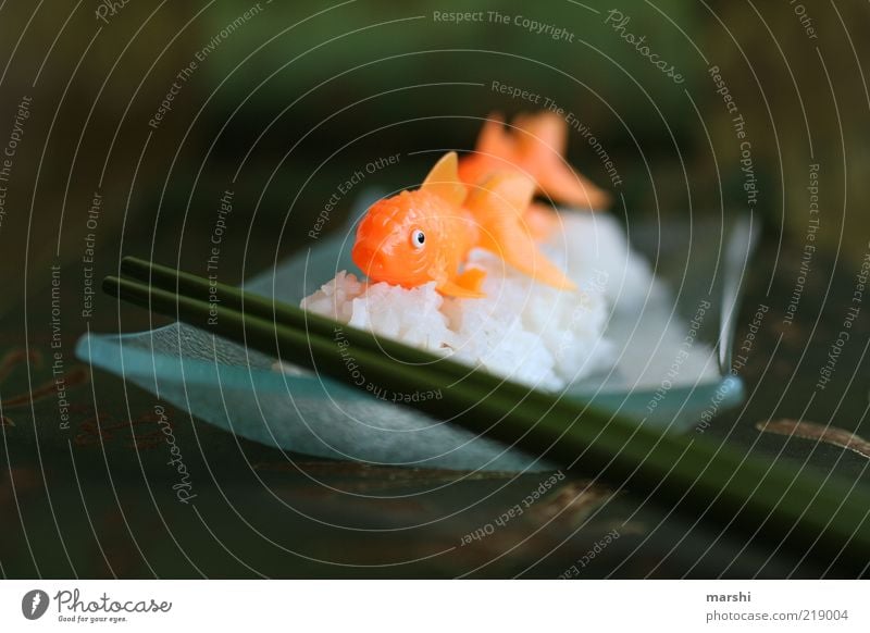 Sushi zum Mittag Ernährung Mittagessen Fingerfood Fisch Essstäbchen Asien falsch Reis orange Glasschale dunkelgrün Farbfoto Innenaufnahme Unschärfe künstlich