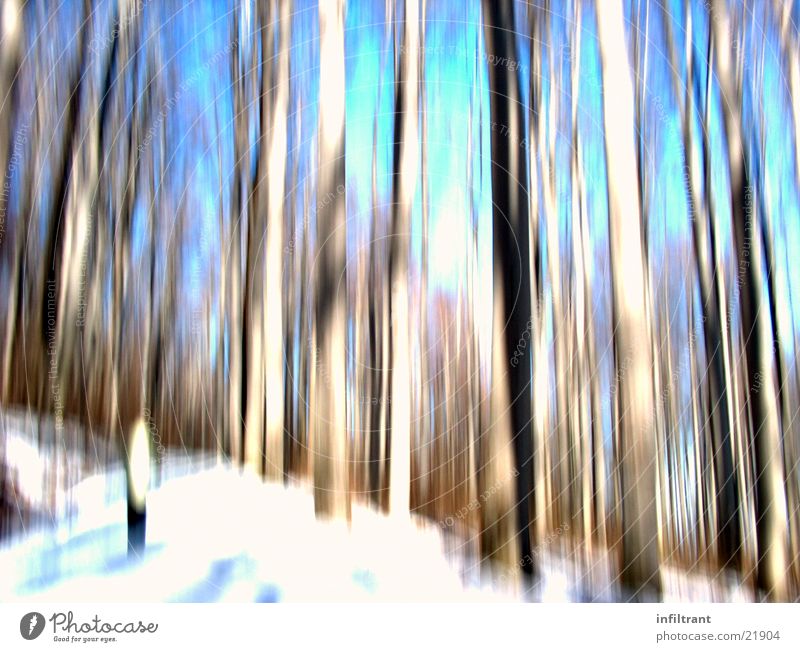 verzerrter Wald Baum Baumstamm Unschärfe Verzerrung Winter kalt Schnee