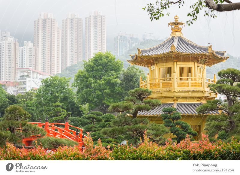 Nan Lian Garden in Hong Kong. Stil Ferien & Urlaub & Reisen Tourismus Sommer Garten Landschaft Park See Brücke Gebäude Architektur historisch blau gold grün rot