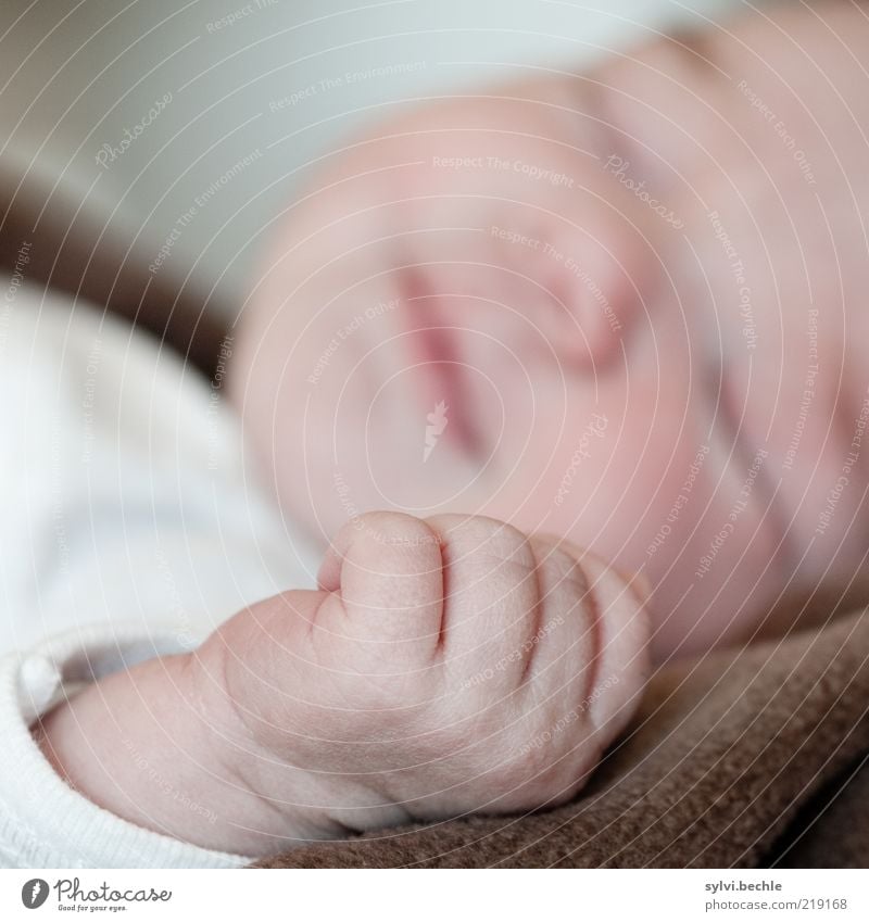 Eine Hand, so klein ... Wohlgefühl Zufriedenheit Erholung ruhig Mensch Kind Baby Mädchen Kindheit Kopf Auge Nase Mund 0-12 Monate Lächeln schlafen Gesundheit