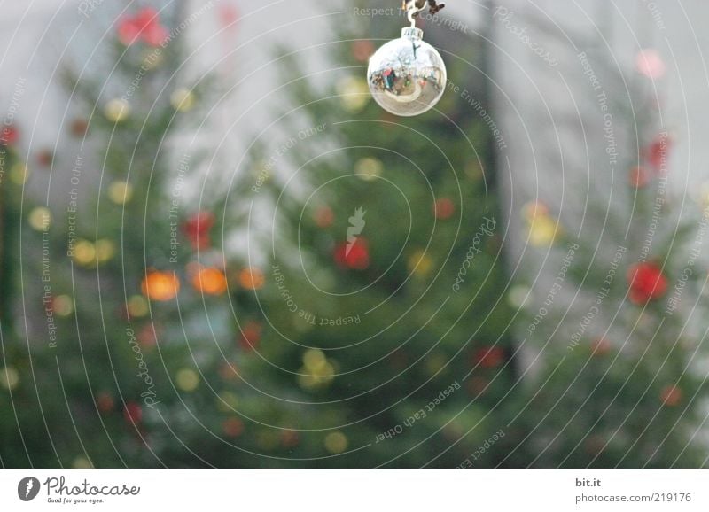 Silberkugel Winter Baum rund bizarr einzigartig skurril Stimmung Tradition Weihnachten & Advent Weihnachtsdekoration Weihnachtsbaum Weihnachtsmarkt Kugel