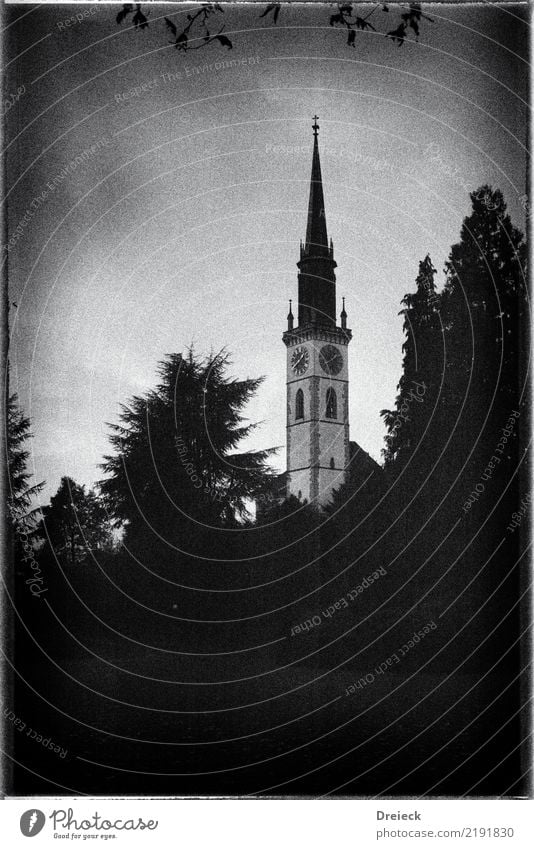 Kirchenturm Baum Blatt Park Cham Schweiz Kleinstadt Turm schwarz weiß Filmmaterial 35mm Ilford FP4+ Schwarzweißfoto Außenaufnahme Tag Licht Schatten Kontrast
