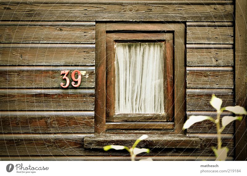 Kleinstadtidylle Pflanze Menschenleer Haus Hütte Gebäude Mauer Wand Fassade Fenster Holz Glas Häusliches Leben einfach braun Warmherzigkeit Vorsicht Einsamkeit