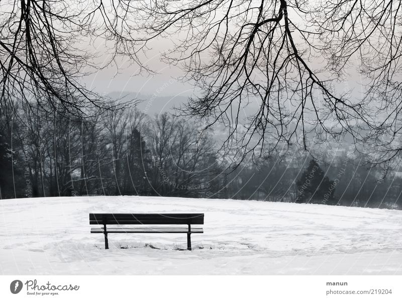 Ruhepunkt Winter Schnee Natur Landschaft Eis Frost Baum Ast Park Hügel Bank kalt Gefühle ruhig Einsamkeit einzigartig Frieden stagnierend Zufriedenheit Holzbank