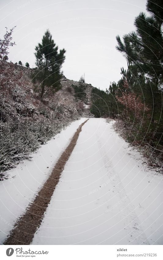 Schnee weiß Marke Reifen Winter kalt tretend Wagenräder Tourneen Eis Wartehäuschen Boden gleitend Vergänglichkeit geometrisch Straße Portugal Wald