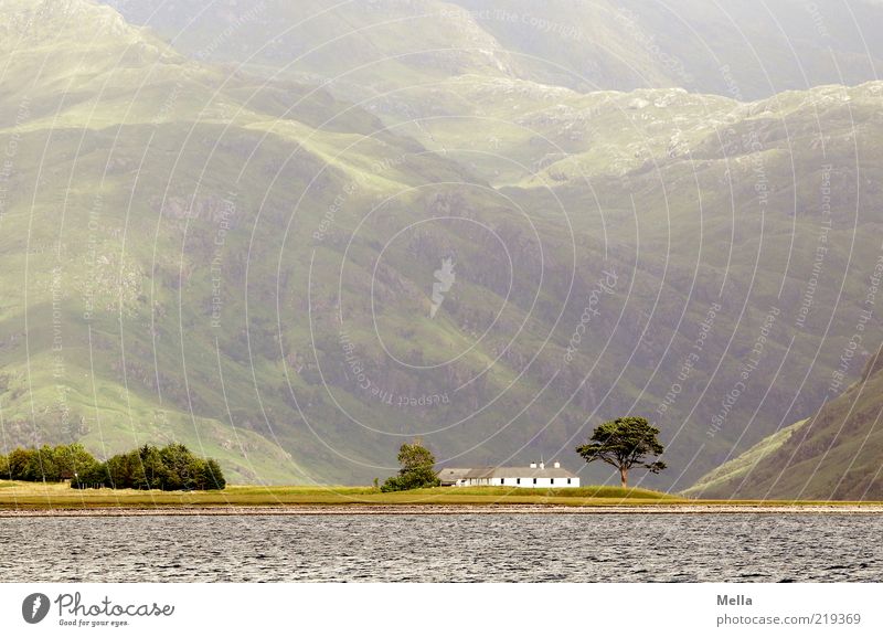 Draußen Umwelt Natur Landschaft Baum Hügel Berge u. Gebirge Küste Bucht Fjord Haus groß klein Stimmung Sehnsucht Heimweh Fernweh Einsamkeit Idylle Schottland