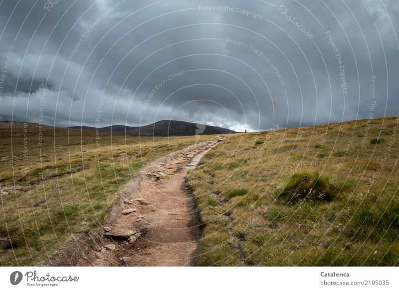 Wege gehen im Hochmoor bei Regenwetter Berge u. Gebirge wandern androgyn 1 Mensch Gewitterwolken Sommer schlechtes Wetter Gras Highlands Schottland Wege & Pfade
