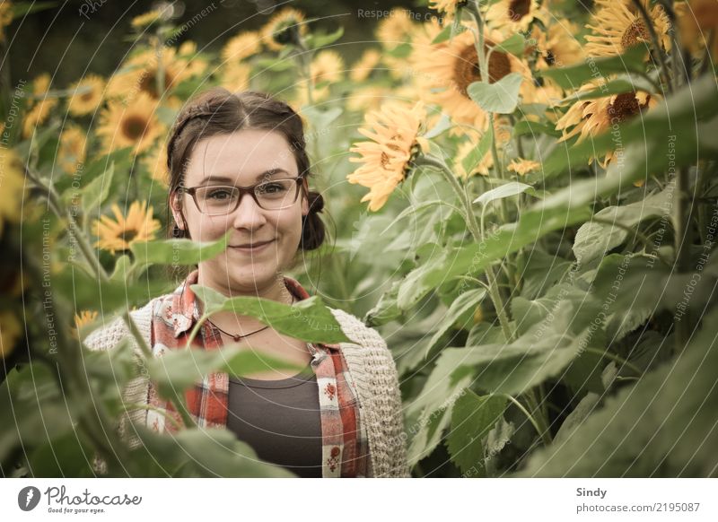 Sunflower2 Mensch feminin Mädchen Junge Frau Jugendliche Körper 1 13-18 Jahre Natur Landschaft Pflanze Blume Sonnenblume Feld brünett Zopf Freundlichkeit