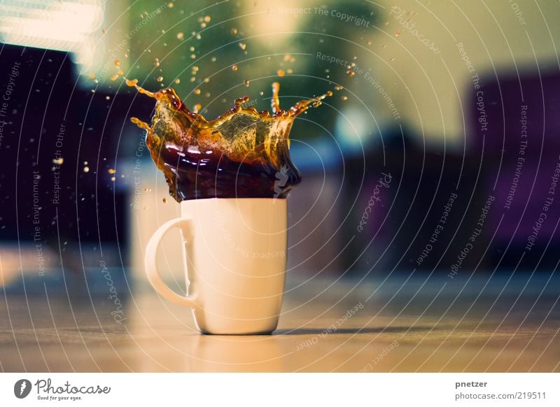 Cookie Splash Lebensmittel Getränk Heißgetränk Kaffee Tasse Becher Stil Design Wohnzimmer außergewöhnlich lecker lustig positiv verrückt Gefühle Stimmung