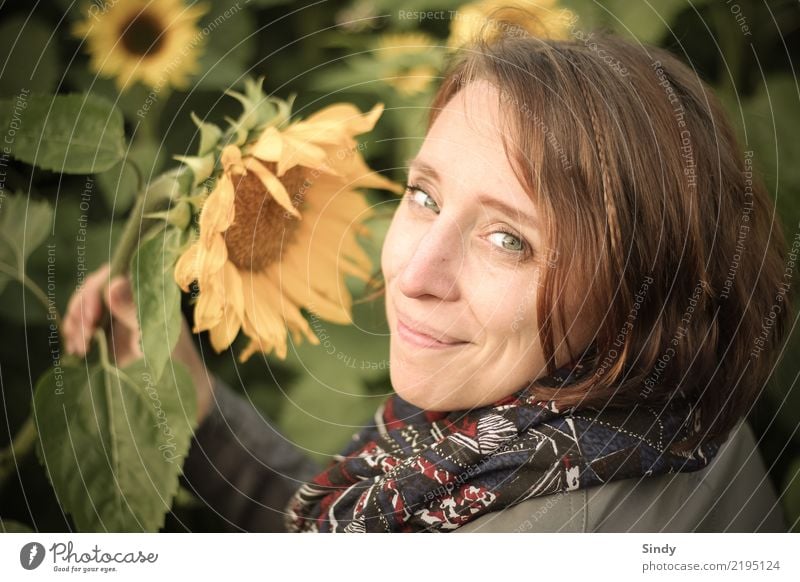 Sunflower4 Mensch feminin Junge Frau Jugendliche Erwachsene Kopf 1 18-30 Jahre 30-45 Jahre Pflanze Blatt Blüte Sonnenblume Sonnenblumenfeld Garten Feld Schal