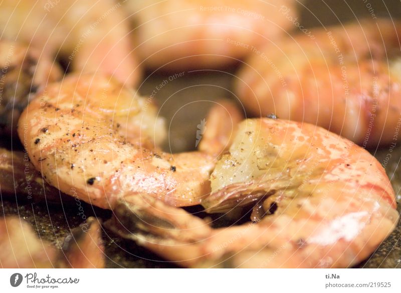 Hunger krieg Lebensmittel Meeresfrüchte Garnelen Tiger Prawns Ernährung Bioprodukte Slowfood Fingerfood Pfanne frisch lecker rosa Farbfoto Gedeckte Farben