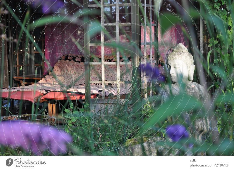 Zwei Sonnen-Liegen in einem Holz-Pavillon im Garten | ein Platz zum Träumen. Sommer Pflanze Blüte Erholung ästhetisch schön Gelassenheit Freizeit & Hobby