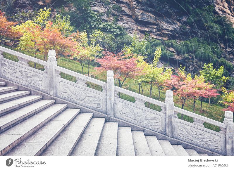 Marmortreppe Garten Tapete Natur Herbst Baum Park Hügel Architektur Stein grün Murmel Treppe Hintergrund China Schritt Aussicht gefiltert Orientalisch