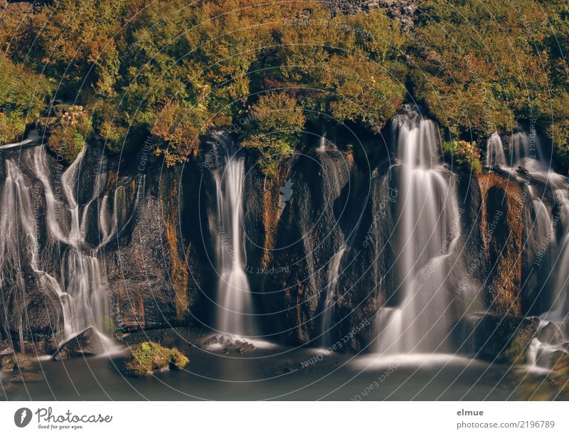 Hraunfossar Natur Urelemente Wasser Schönes Wetter Küste Insel Island Wasserfall Reykholt Hvítá Westisland Wassermassen fallen Bekanntheit gigantisch Glück