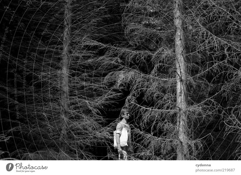 BLACK I Stil ruhig Ausflug Mensch Junger Mann Jugendliche 18-30 Jahre Erwachsene Umwelt Natur Baum Wald ästhetisch Einsamkeit Ende Endzeitstimmung geheimnisvoll