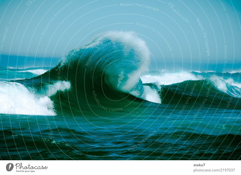 Welle frisch gekämmt Wasser Wellen Meer Pazifik maritim nass blau türkis Bewegung Energie Kraft Wellenkamm Gischt Dynamik spritzig Gedeckte Farben Außenaufnahme