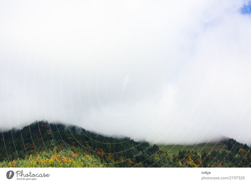 tiefhängende Wolken Natur Landschaft Tier Luft Himmel Frühling Sommer Herbst Nebel Wald Hügel Alpen Berge u. Gebirge Gipfel dunkel hell blau grün weiß Gefühle