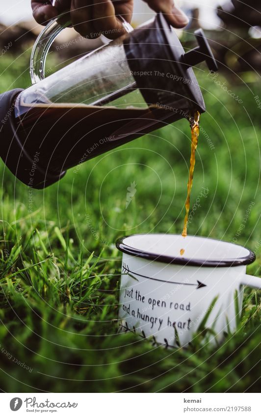 Der erste Kaffee Getränk Heißgetränk Becher Kaffeekanne Lifestyle harmonisch Wohlgefühl Zufriedenheit Erholung ruhig Duft Freizeit & Hobby Ausflug Abenteuer