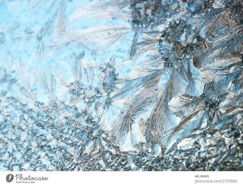 Kristallstruktur Winter Schnee Weihnachten & Advent Silvester u. Neujahr Umwelt Natur Klima Wetter Eis Frost Eisblumen frieren glänzend ästhetisch fest kalt