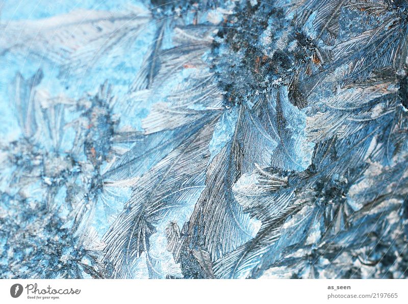 Eiskristalle Weihnachten & Advent Silvester u. Neujahr Umwelt Natur Urelemente Wasser Winter Klima Wetter Frost Eisblumen frieren glänzend ästhetisch fest kalt