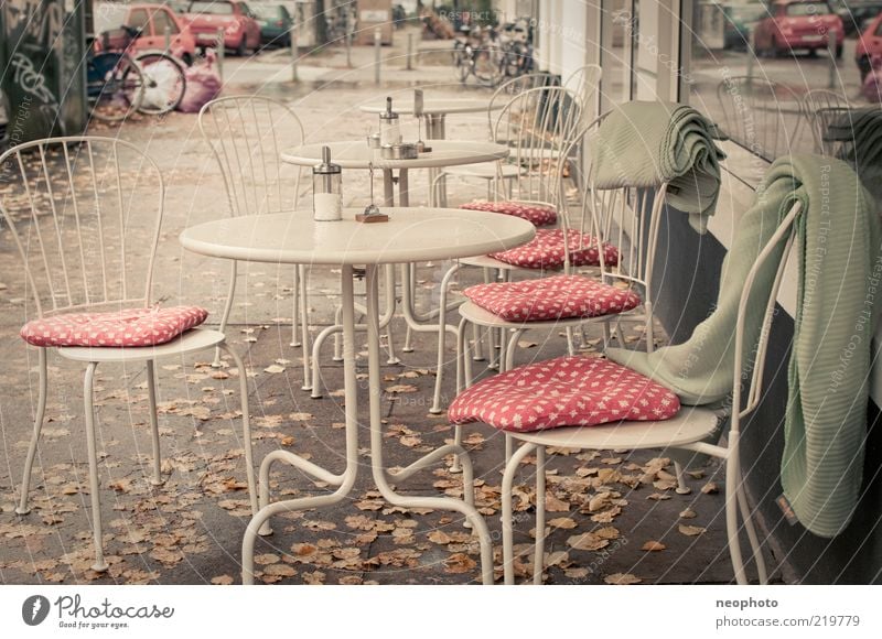 Pilzsaison Lifestyle Stuhl Erholung Dienstleistungsgewerbe Herbst Herbstlaub Café Decke gepunktet Gedeckte Farben Außenaufnahme Menschenleer Tag