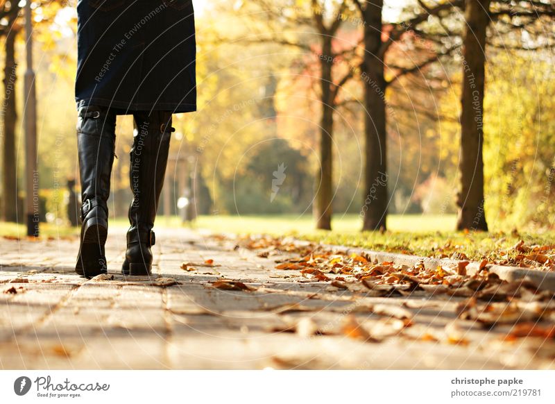 Going for a walk feminin Beine 1 Mensch Natur Herbst Baum Blatt Park Rock Stiefel Erholung gehen Traurigkeit Einsamkeit Farbfoto Außenaufnahme Tag