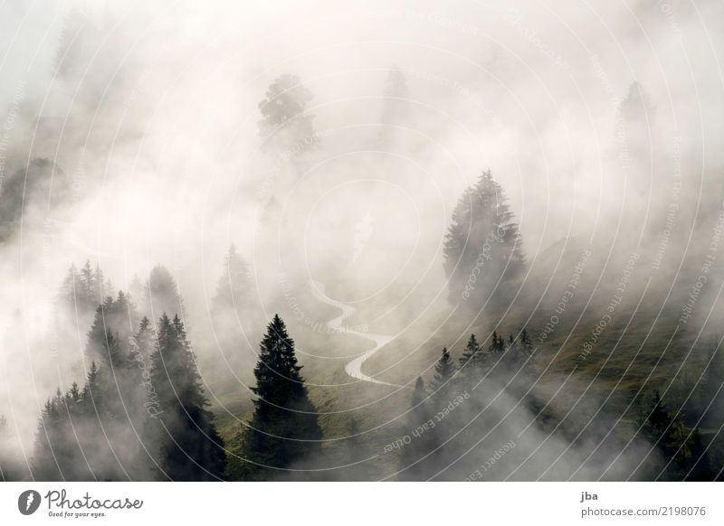 Nebelstimmung im Kiental harmonisch Erholung ruhig Meditation Freiheit Berge u. Gebirge wandern Landschaft Urelemente Luft Wassertropfen Wolken Herbst Wetter