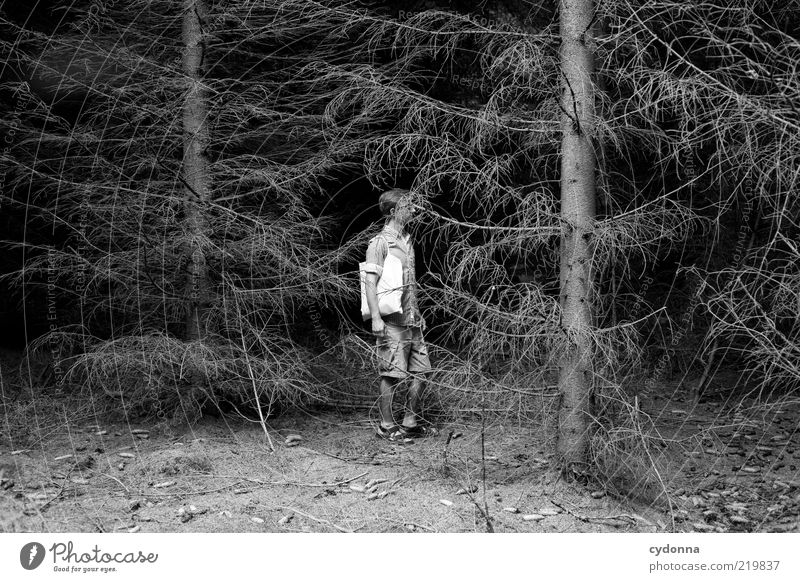 BLACK II Lifestyle Stil ruhig Ausflug wandern Mensch Junger Mann Jugendliche 18-30 Jahre Erwachsene Umwelt Natur Baum Wald ästhetisch Einsamkeit Endzeitstimmung