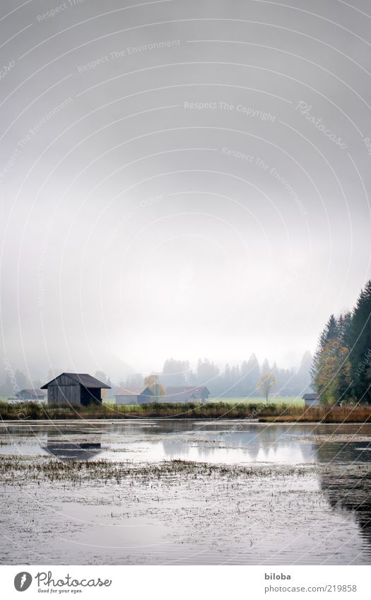 Haus am See Wasser Wolken Herbst Nebel ästhetisch glänzend grau grün Gefühle Hoffnung Trauer Sehnsucht Einsamkeit Lenk Naturschutzgebiet Schweiz Gewässer trüb
