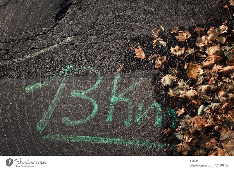 Nicht mehr weit Umwelt Natur Herbst Blatt Straße Wege & Pfade Ziffern & Zahlen alt authentisch dreckig grau Herbstlaub herbstlich Jahreszeiten Bodenbelag
