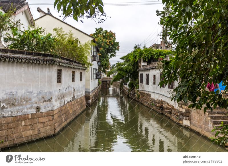 Kanal in Xitang China Asien Stadt Altstadt Menschenleer Haus schön Fernweh Leben Stimmung Farbfoto Außenaufnahme Tag Totale